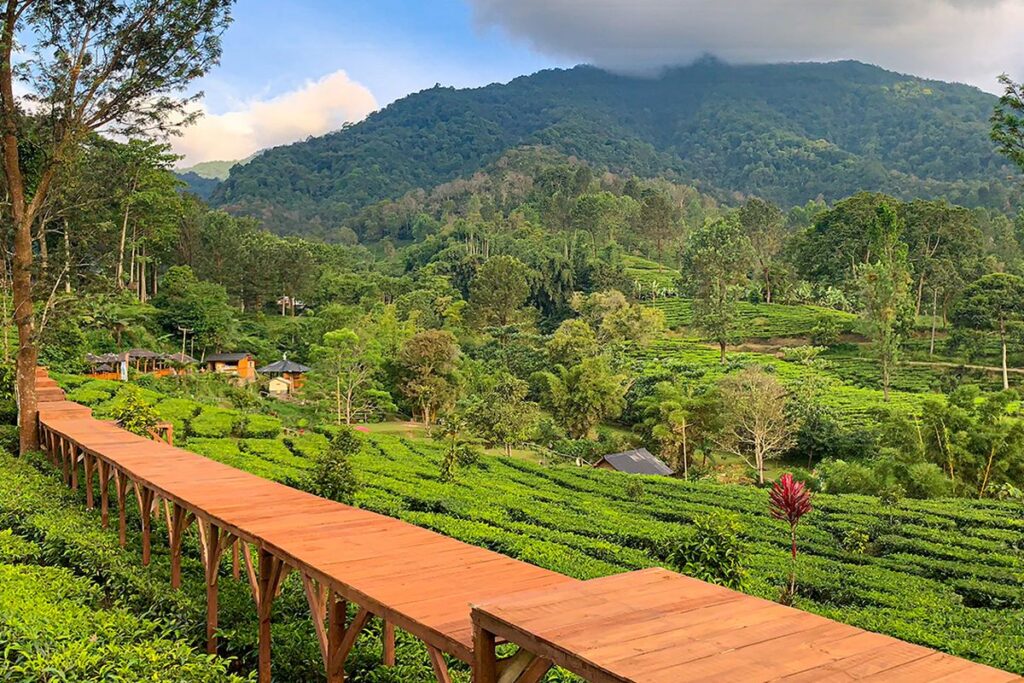 Kafe di Bogor dengan Pemandangan Gunung Salak, Cocok untuk Healing