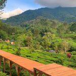 Kafe di Bogor dengan Pemandangan Gunung Salak, Cocok untuk Healing
