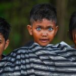 Suku Buton: Warisan Sejarah dan Budaya dari Tenggara Sulawesi