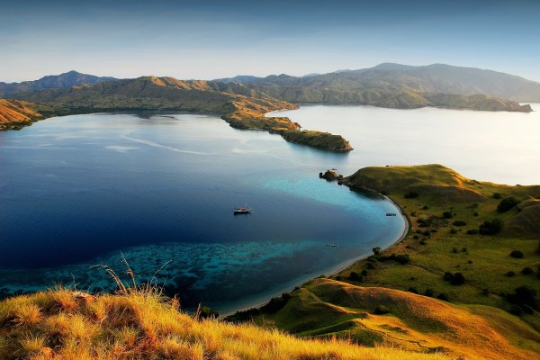 Pulau Rinca: Surga Liar di Tengah Taman Nasional Komodo