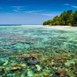 Pulau Cemara Besar, Surga Tersembunyi di Karimunjawa