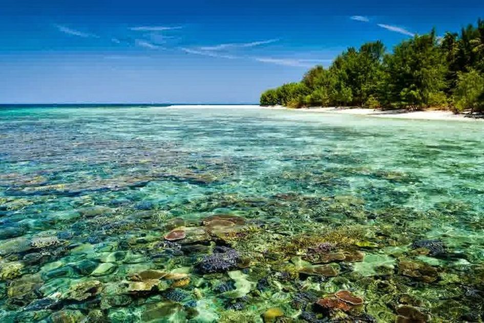 Pulau Cemara Besar, Surga Tersembunyi di Karimunjawa