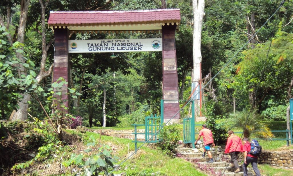 Gunung Leuser: Permata Alam di Jantung Sumatra